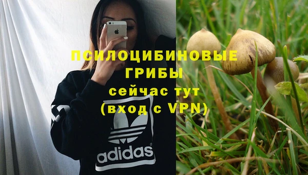 скорость Медногорск