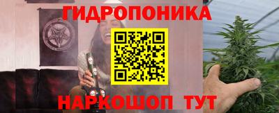 спайс Кандалакша