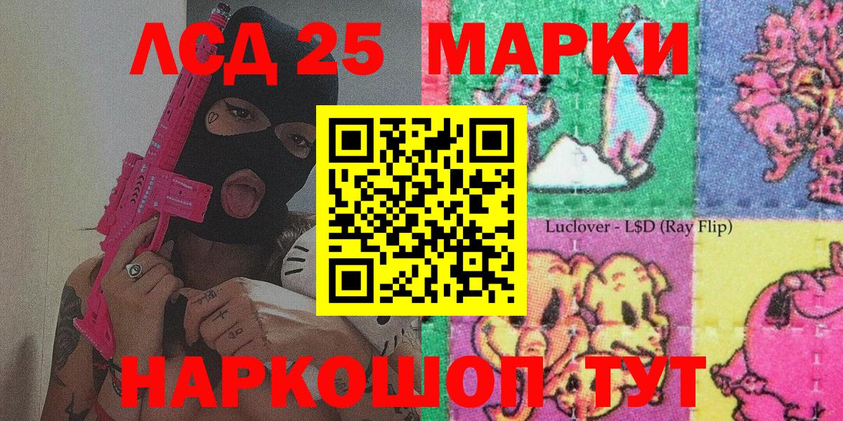 Меф Сыктывкар