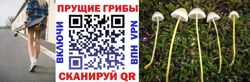 Галлюциногенные грибы Psilocybe магазин наркотиков Сыктывкар