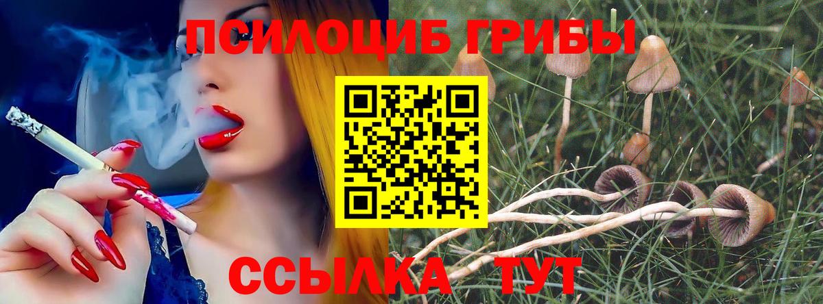 Галлюциногенные грибы MAGIC MUSHROOMS  Галлюциногенные грибы Cubensis  Вход с VPN  Сыктывкар 