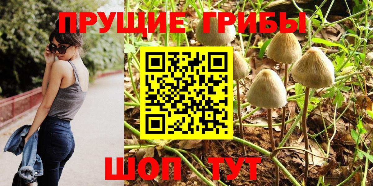 Галлюциногенные грибы Cubensis Сыктывкар